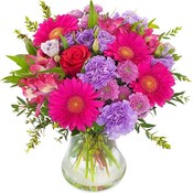 Florist Choice Aqua Pack (Pinks & Purples) £20