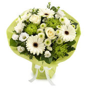 Florist Choice Aqua Pack (Greens & Whites) £50