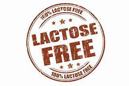 Dairy & Lactose Free