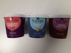 Yorvale Mini Pot Ice Creams x3