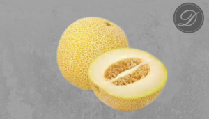 Galia Melon (Large)